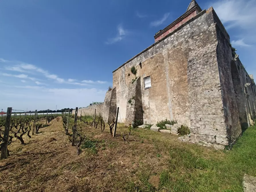 Immagine 10 di Masseria in vendita  a Monteroni Di Lecce