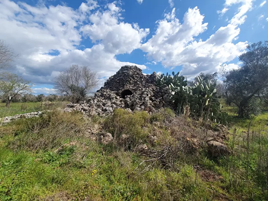 Immagine 10 di Masseria in vendita  in Contrada Occhiazzi a Ruffano
