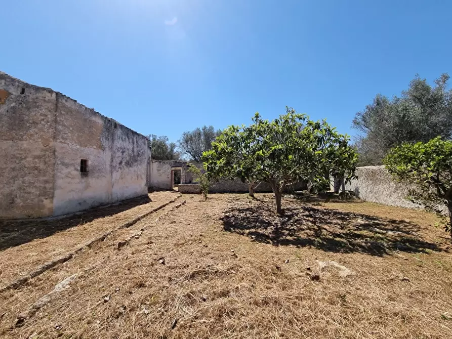 Immagine 11 di Rustico / casale in vendita  a Squinzano