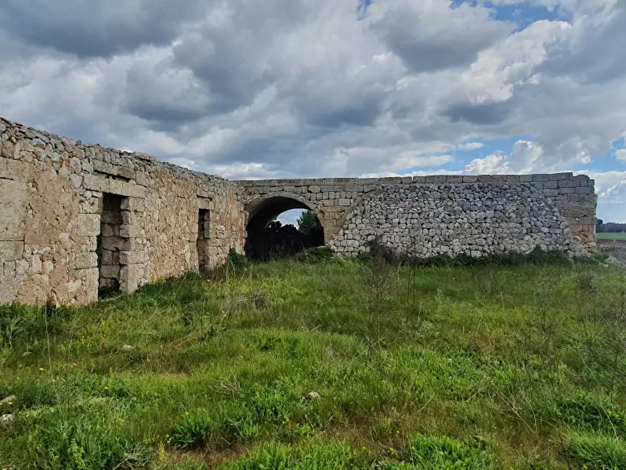 Immagine 11 di Masseria in vendita  in Contrada Occhiazzi a Ruffano