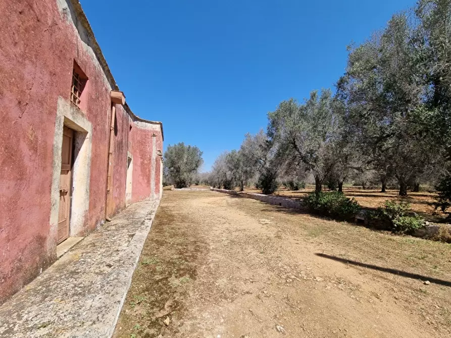 Immagine 15 di Rustico / casale in vendita  a Squinzano