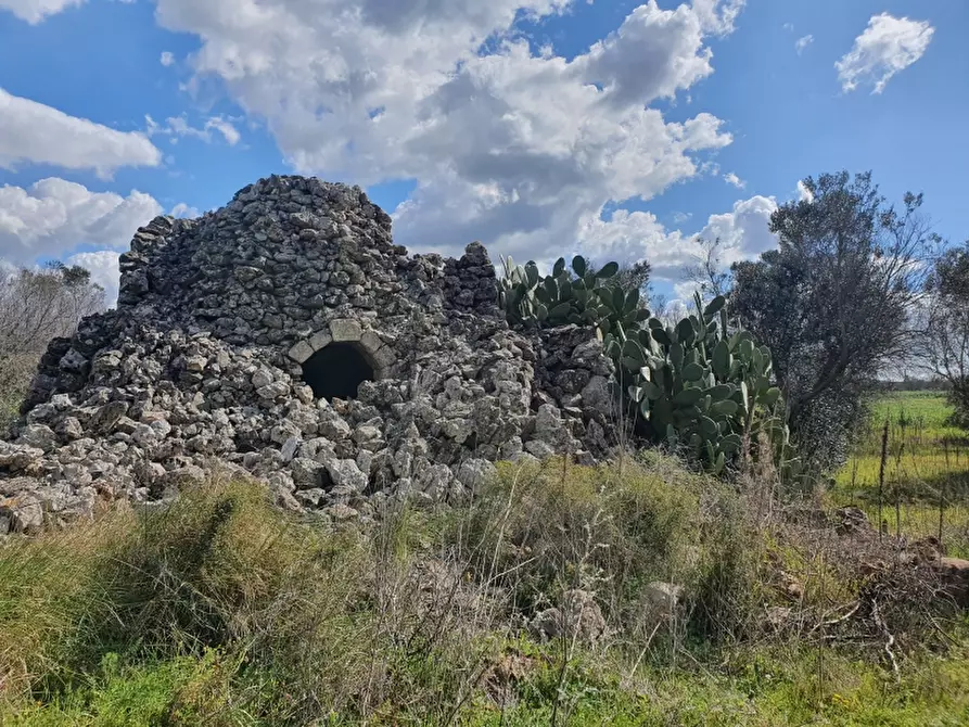 Immagine 12 di Masseria in vendita  in Contrada Occhiazzi a Ruffano