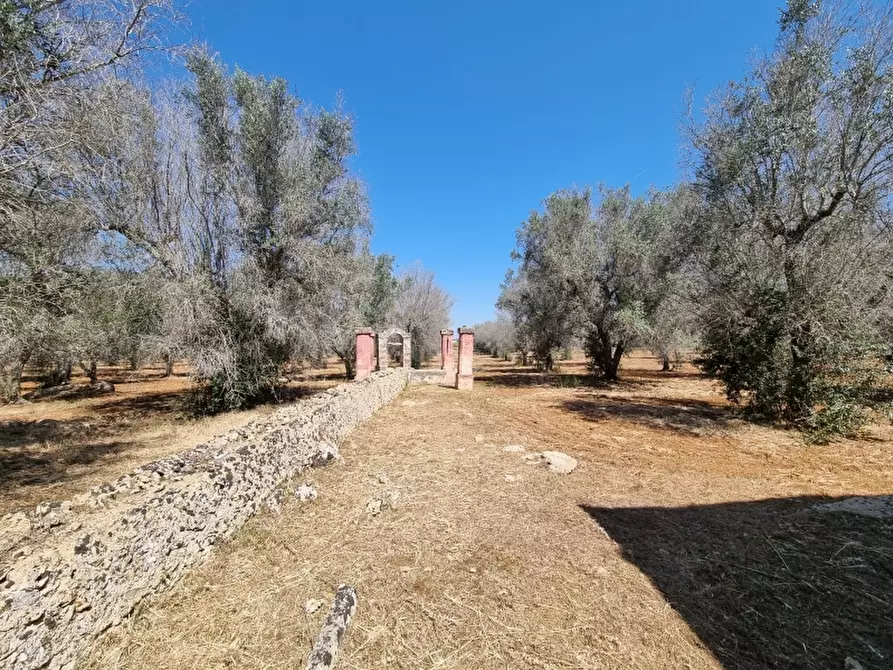 Immagine 16 di Rustico / casale in vendita  a Squinzano