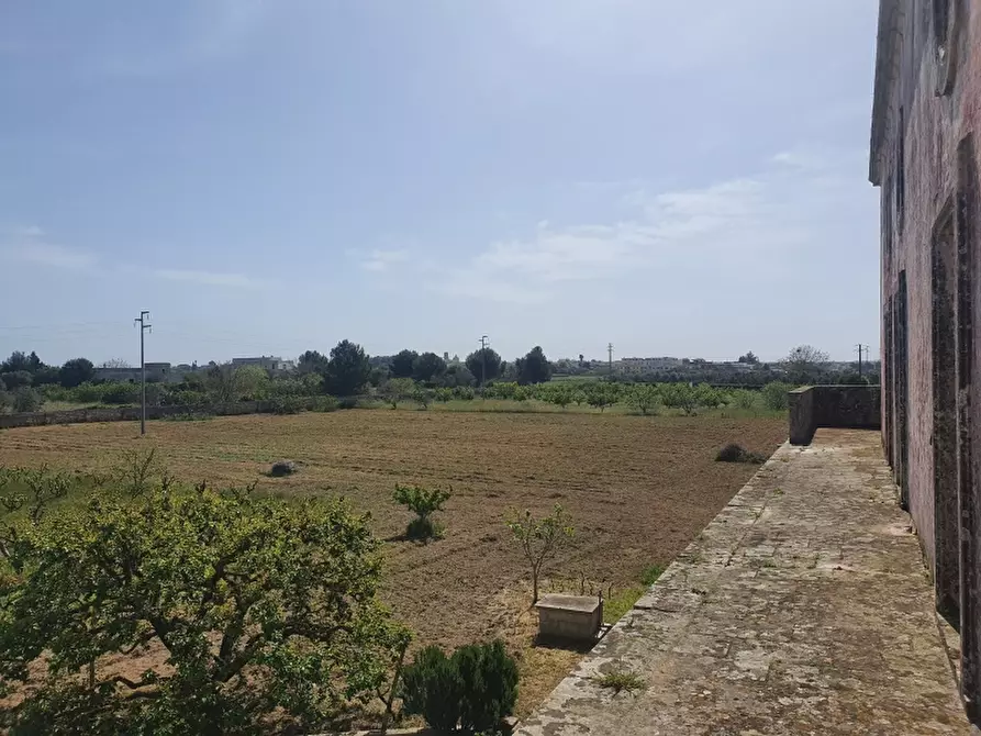 Immagine 14 di Masseria in vendita  a Monteroni Di Lecce