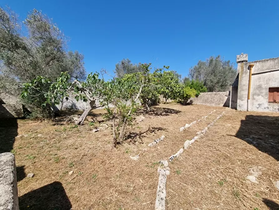 Immagine 17 di Rustico / casale in vendita  a Squinzano