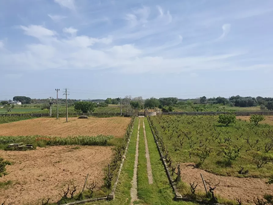Immagine 20 di Masseria in vendita  a Monteroni Di Lecce