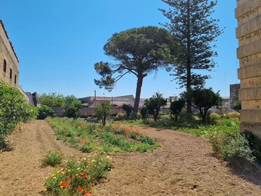 Immagine 19 di Immobile di prestigio in vendita  in Via Gianfilippe 3 a Squinzano