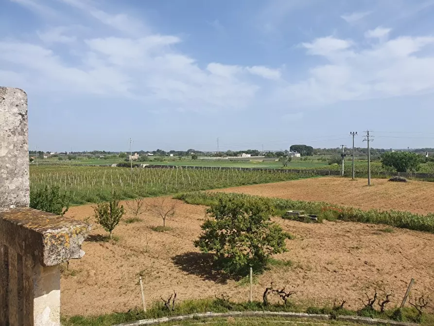 Immagine 15 di Masseria in vendita  a Monteroni Di Lecce