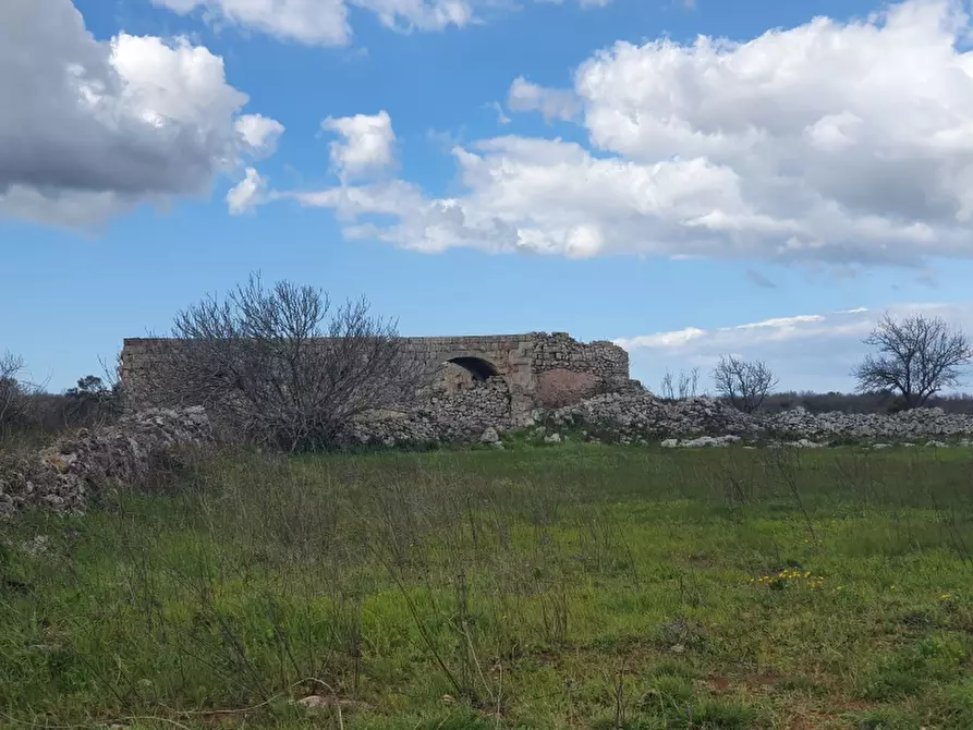 Immagine 15 di Masseria in vendita  in Contrada Occhiazzi a Ruffano