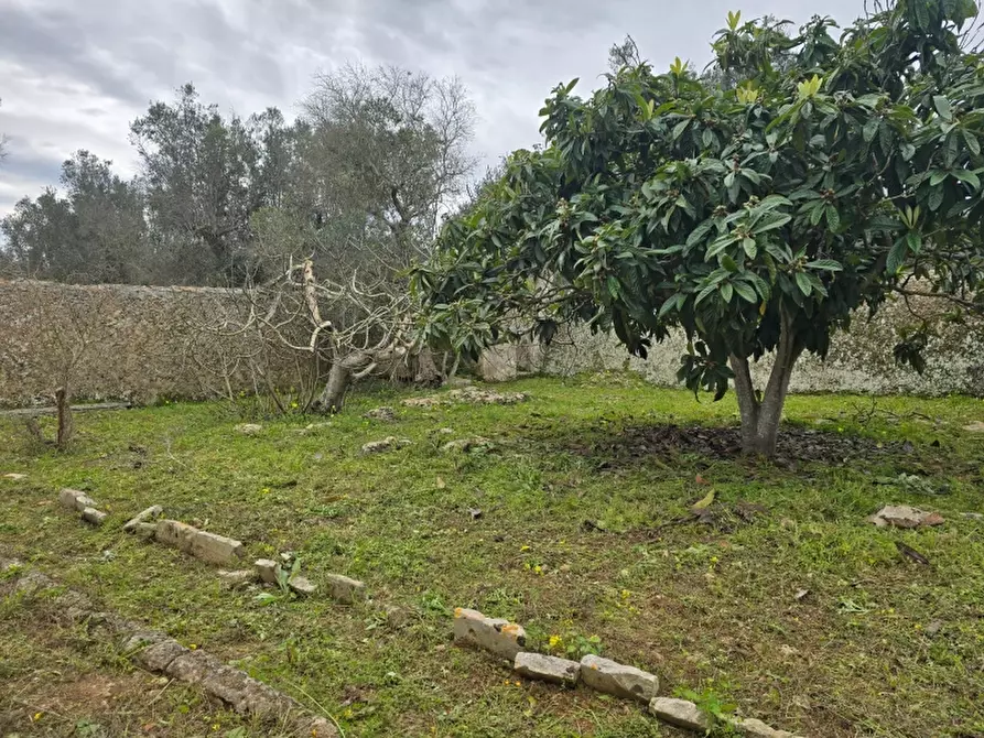 Immagine 30 di Rustico / casale in vendita  a Squinzano