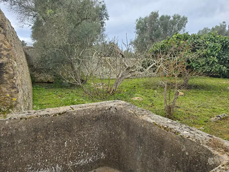 Immagine 32 di Rustico / casale in vendita  a Squinzano
