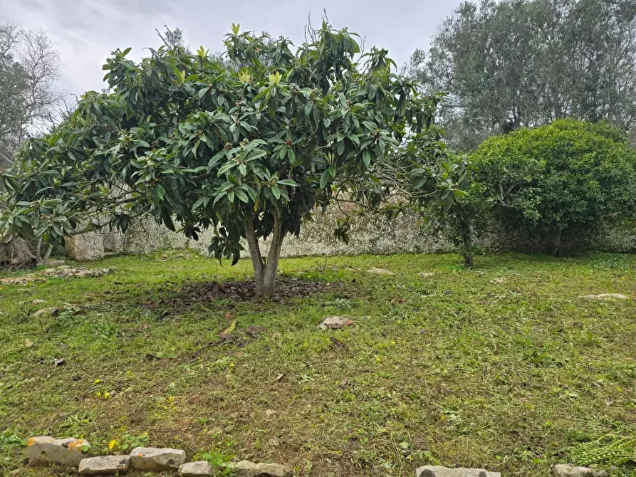 Immagine 33 di Rustico / casale in vendita  a Squinzano