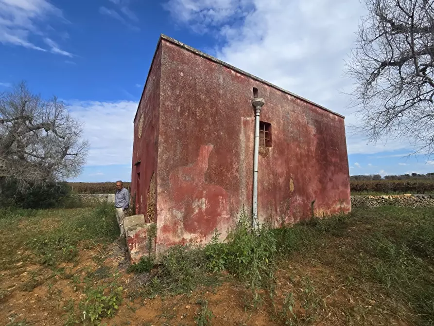 Immagine 38 di Rustico / casale in vendita  a Squinzano