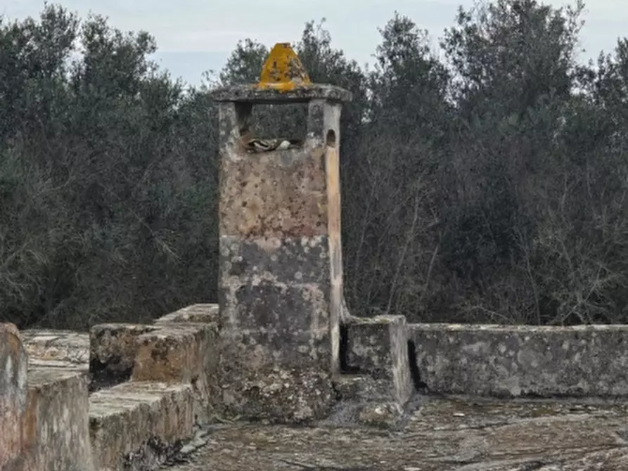 Immagine 22 di Rustico / casale in vendita  a Squinzano