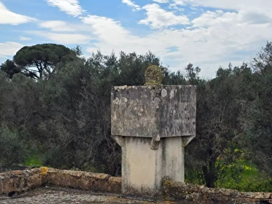 Immagine 25 di Rustico / casale in vendita  a Squinzano
