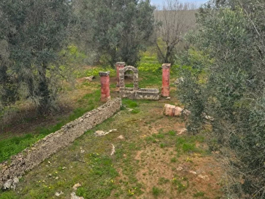 Immagine 27 di Rustico / casale in vendita  a Squinzano