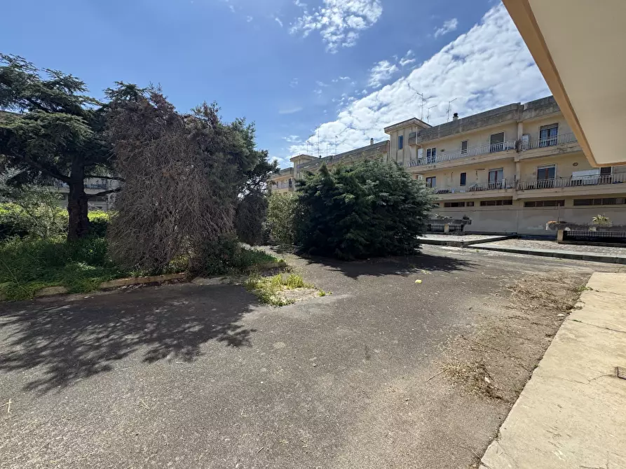 Immagine 24 di Appartamento in vendita  a Lequile