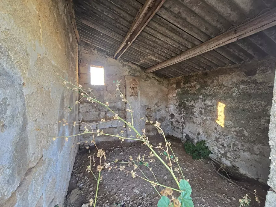 Immagine 6 di Terreno agricolo in vendita  in SP 96 a Squinzano