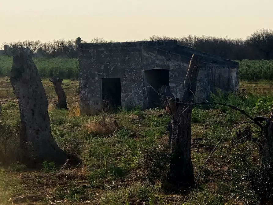 Immagine 8 di Terreno agricolo in vendita  in SP 96 a Squinzano