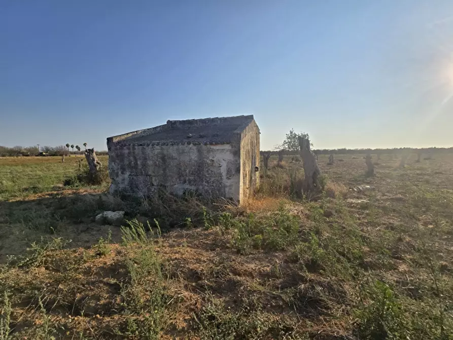 Immagine 10 di Terreno agricolo in vendita  in SP 96 a Squinzano