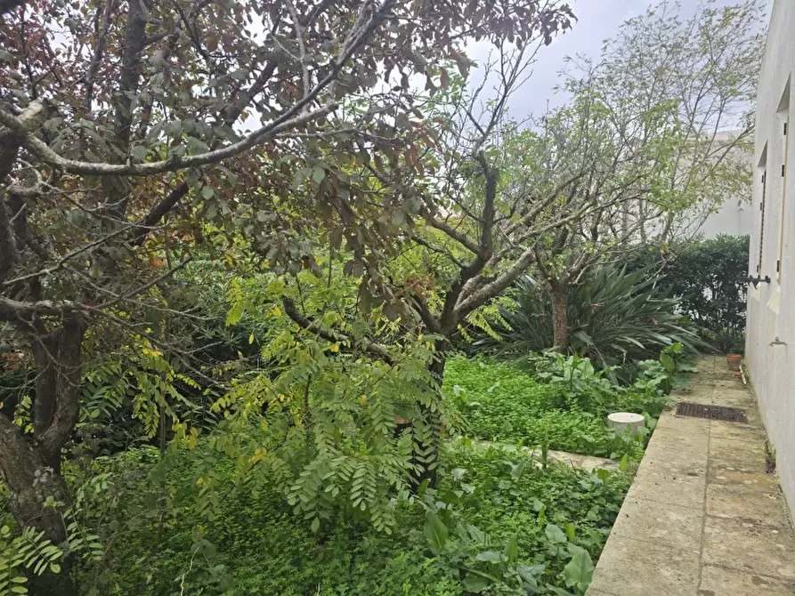 Immagine 21 di Villa in vendita  a Lecce