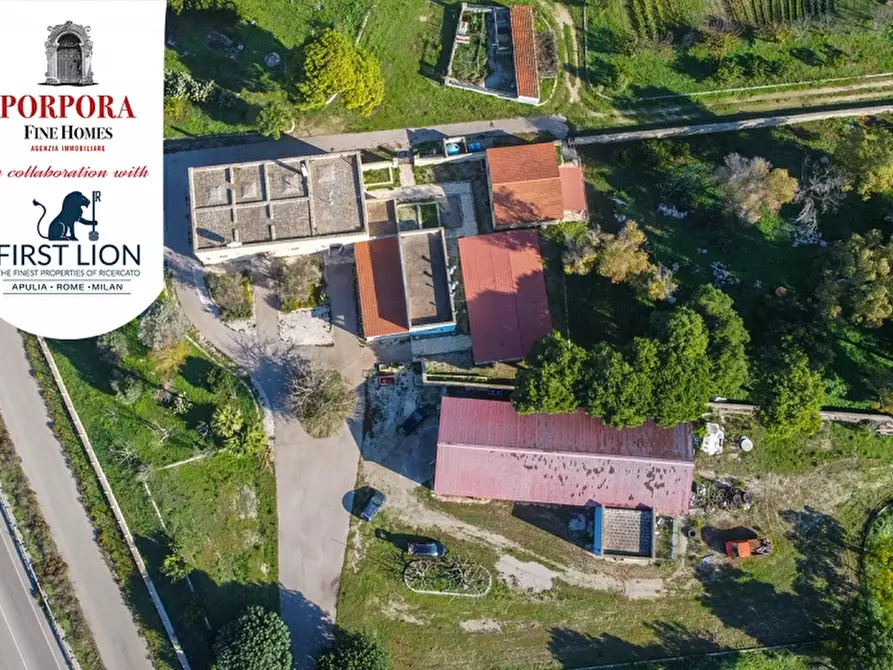 Immagine 15 di Agriturismo in vendita  in SP 131 snc a Lecce