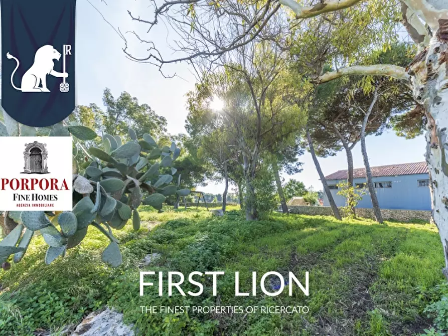 Immagine 3 di Agriturismo in vendita  in SP 131 snc a Lecce