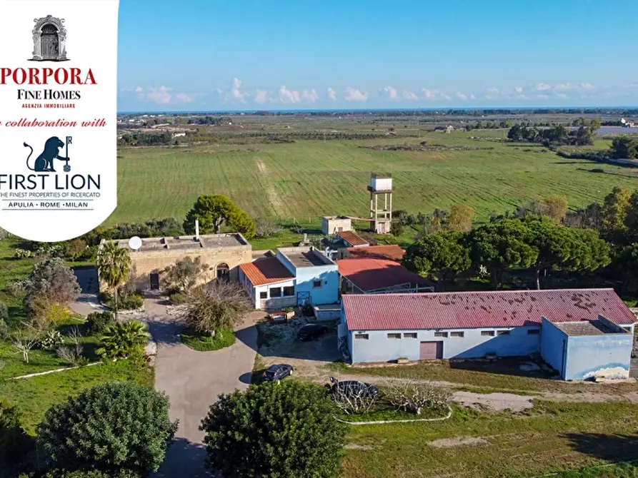 Immagine 3 di Agriturismo in vendita  in SP 131 snc a Lecce