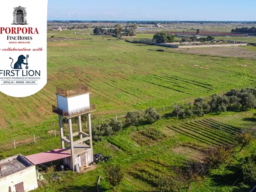 Immagine 9 di Agriturismo in vendita  in SP 131 snc a Lecce