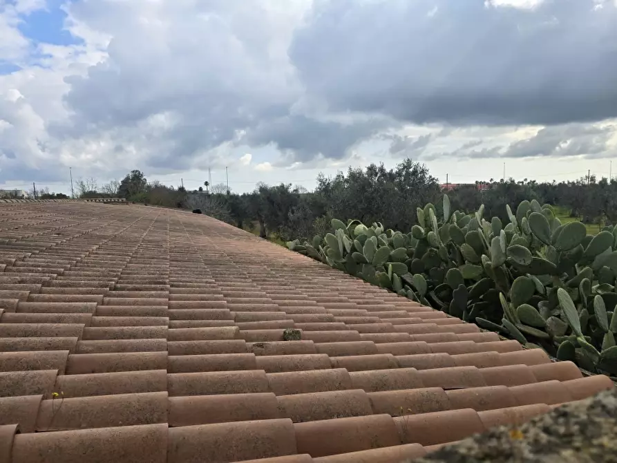 Immagine 8 di Masseria in vendita  in CONTRADA MANIMUZZI a Collepasso