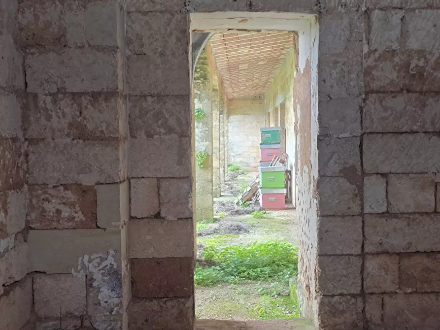 Immagine 15 di Masseria in vendita  in CONTRADA MANIMUZZI a Collepasso