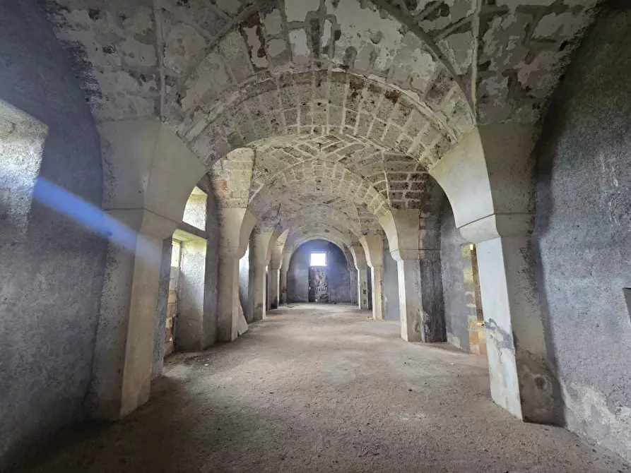 Immagine 22 di Masseria in vendita  in CONTRADA MANIMUZZI a Collepasso