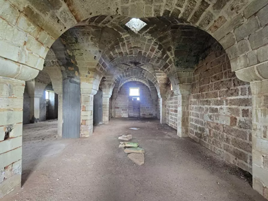 Immagine 23 di Masseria in vendita  in CONTRADA MANIMUZZI a Collepasso