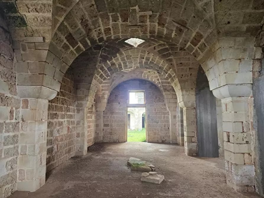 Immagine 28 di Masseria in vendita  in CONTRADA MANIMUZZI a Collepasso