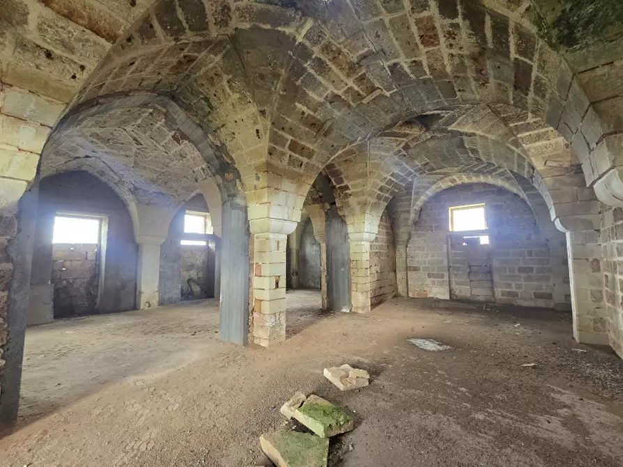 Immagine 29 di Masseria in vendita  in CONTRADA MANIMUZZI a Collepasso