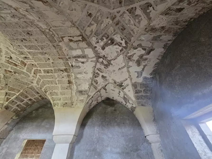 Immagine 31 di Masseria in vendita  in CONTRADA MANIMUZZI a Collepasso