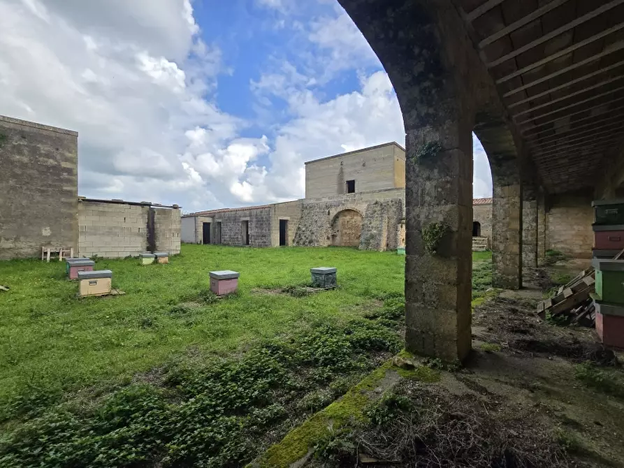 Immagine 6 di Masseria in vendita  in CONTRADA MANIMUZZI a Collepasso