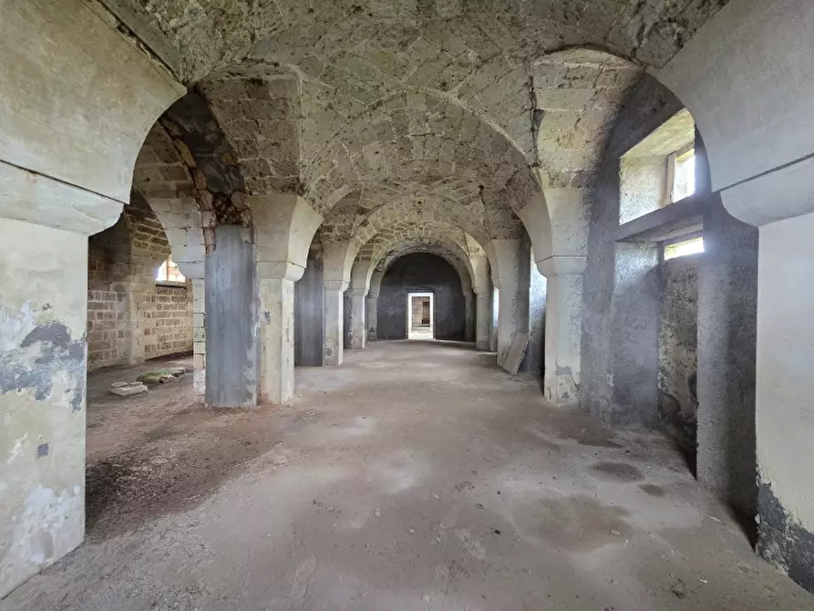 Immagine 32 di Masseria in vendita  in CONTRADA MANIMUZZI a Collepasso