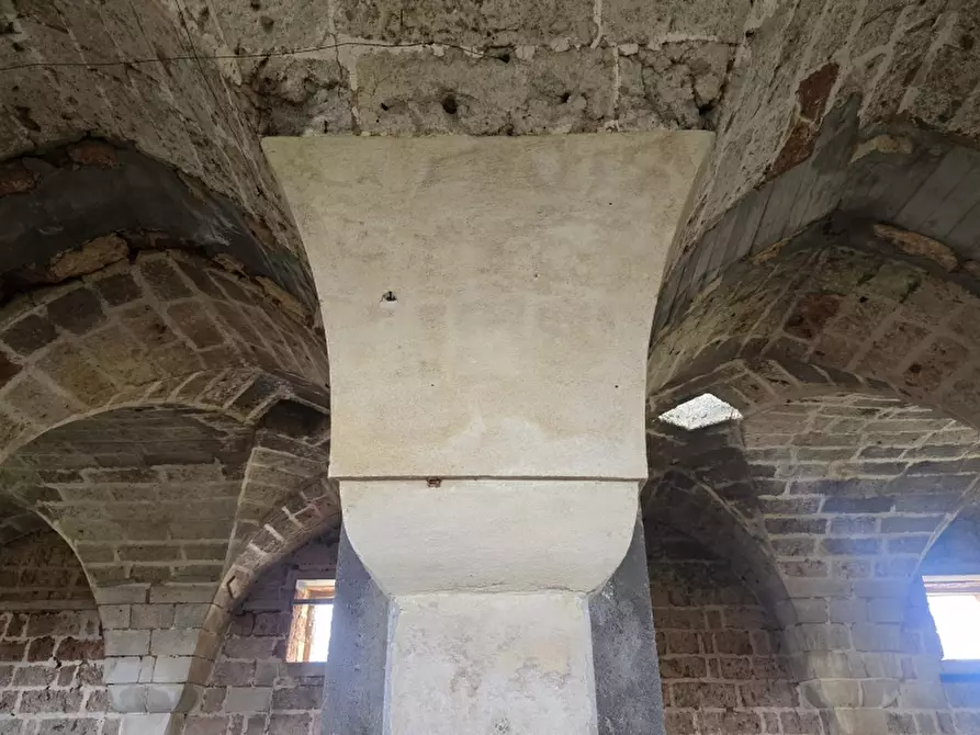 Immagine 33 di Masseria in vendita  in CONTRADA MANIMUZZI a Collepasso