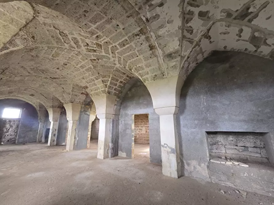 Immagine 34 di Masseria in vendita  in CONTRADA MANIMUZZI a Collepasso