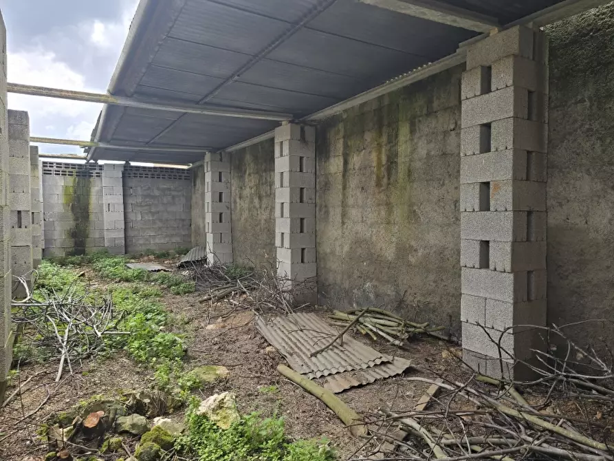 Immagine 35 di Masseria in vendita  in CONTRADA MANIMUZZI a Collepasso