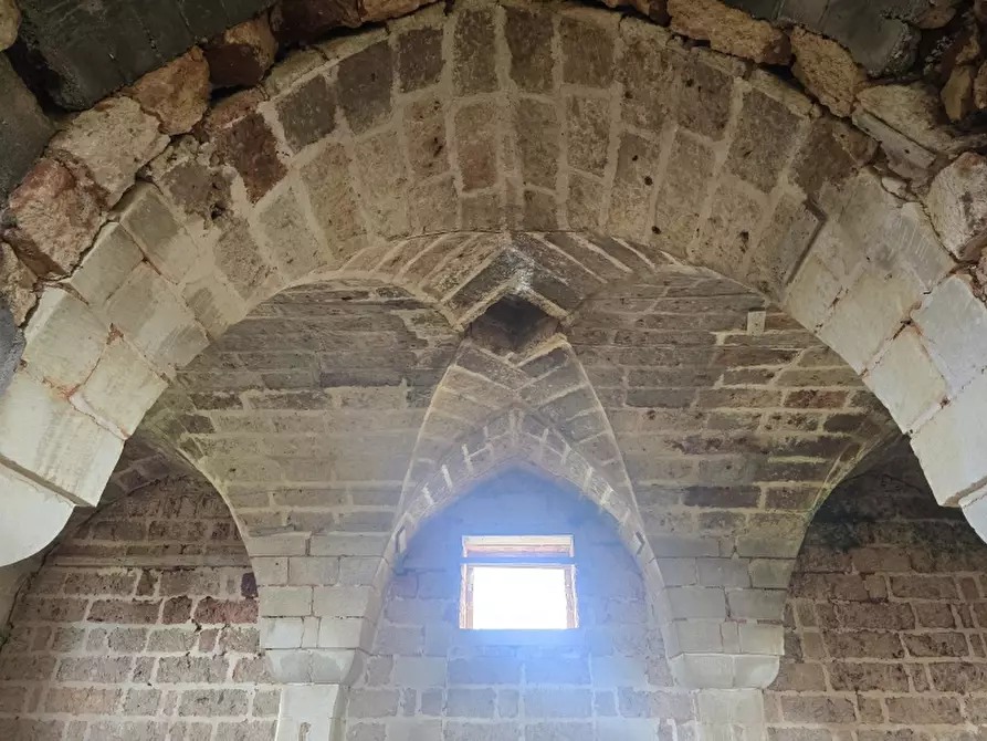 Immagine 36 di Masseria in vendita  in CONTRADA MANIMUZZI a Collepasso