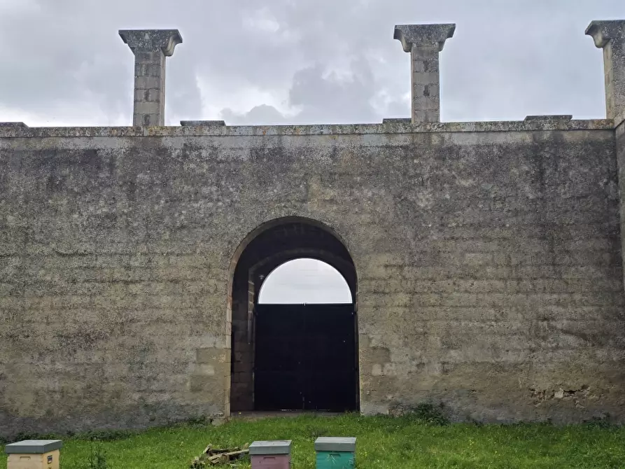 Immagine 10 di Masseria in vendita  in CONTRADA MANIMUZZI a Collepasso