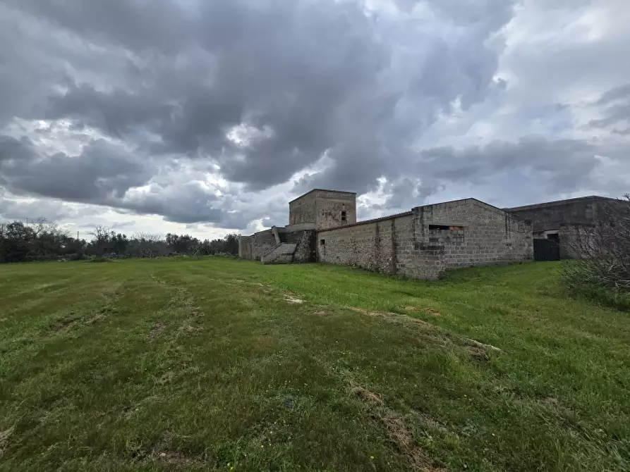 Immagine 13 di Masseria in vendita  in CONTRADA MANIMUZZI a Collepasso