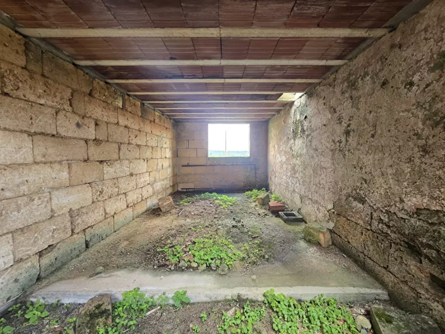 Immagine 14 di Masseria in vendita  in CONTRADA MANIMUZZI a Collepasso