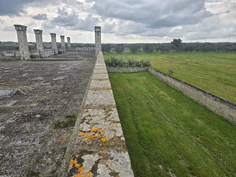 Immagine 12 di Masseria in vendita  in CONTRADA MANIMUZZI a Collepasso