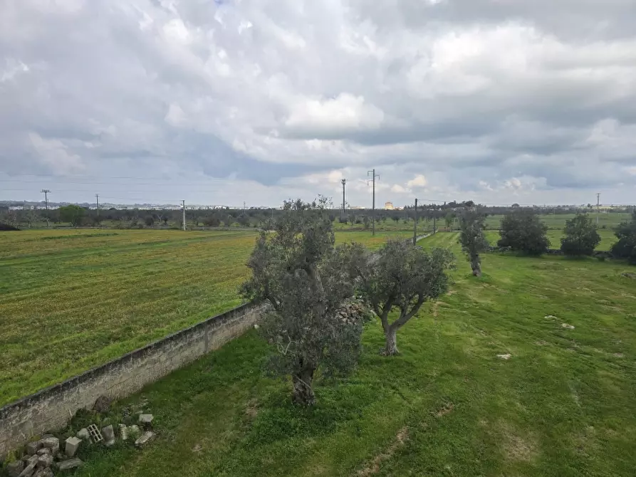 Immagine 4 di Masseria in vendita  in CONTRADA MANIMUZZI a Collepasso