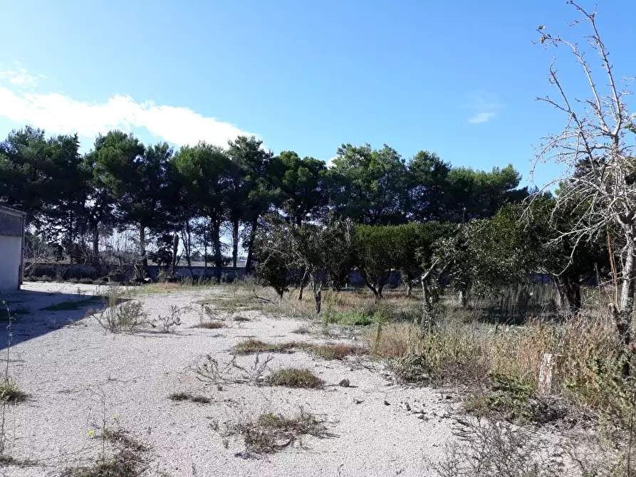 Immagine 12 di Capannone industriale in affitto  a Lecce