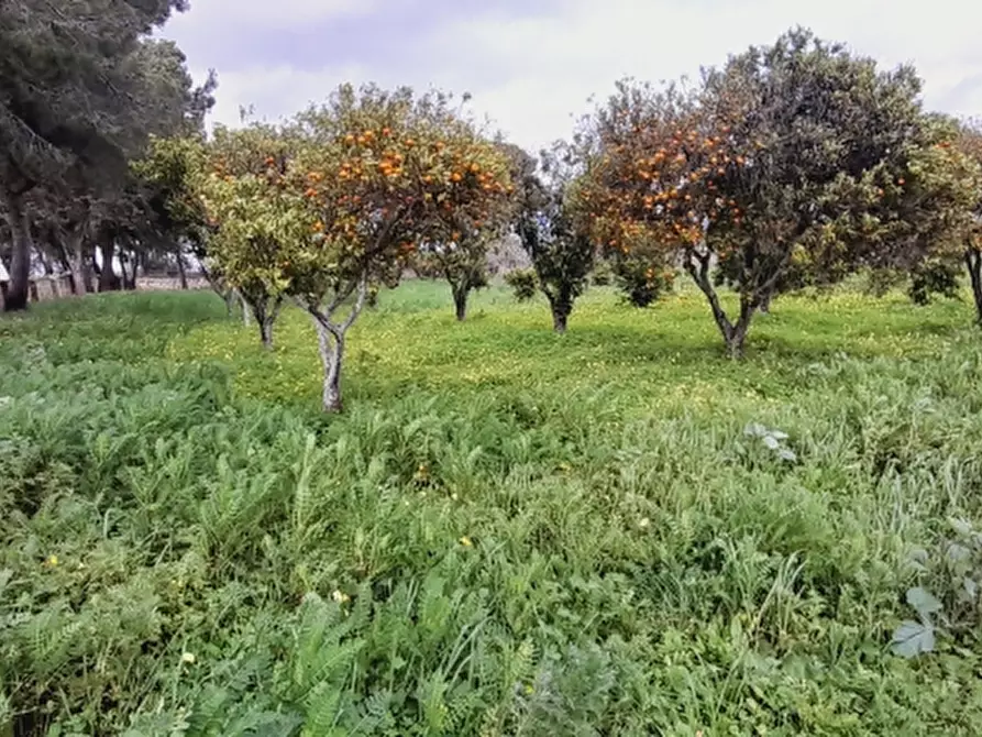 Immagine 16 di Capannone industriale in affitto  a Lecce