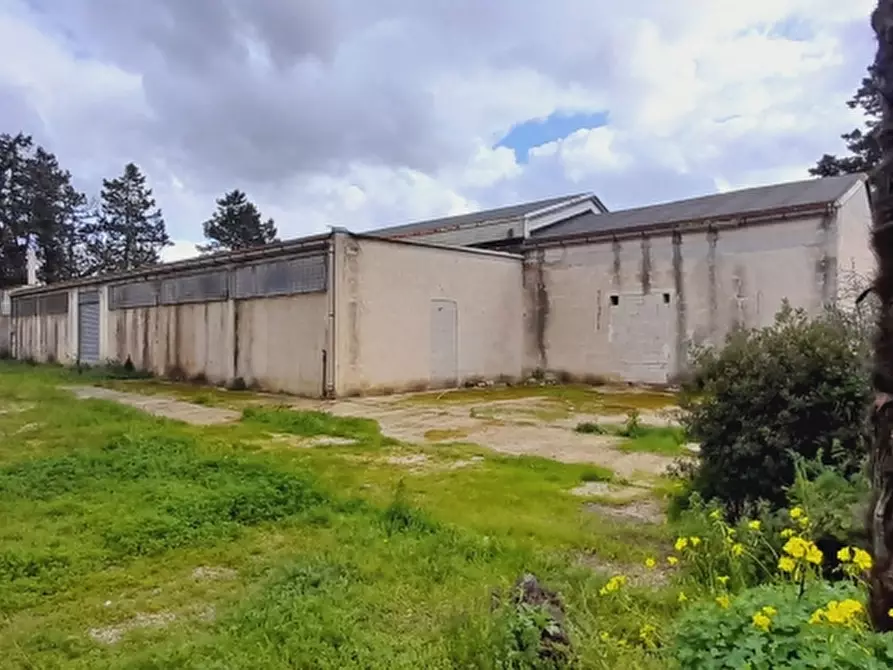Immagine 18 di Capannone industriale in affitto  a Lecce
